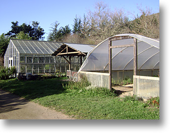 Green Gulch Farm Greenhouses