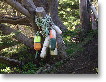 Muir Beach Floats