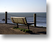 Muir Beach Bench