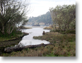 Muir Beach Lagoon