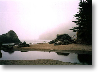 Redwood Creek at Muir Beach