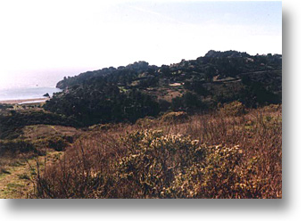 Hwy 1 Muir Beach